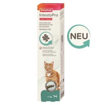 Emballage Beaphar IntestoPro avec un chat roux, prétend soutenir l'équilibre intestinal, avec une saveur de poulet pour les animaux de plus de 1 kg.