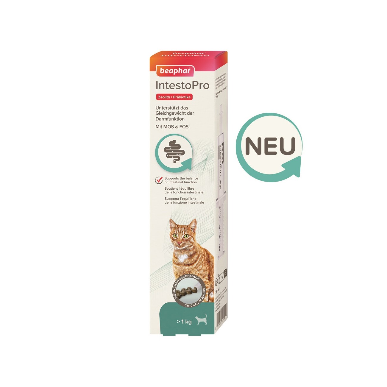 kette halsband Buntes Kettenhalsband langgliedrig – Maulkorb Factory
