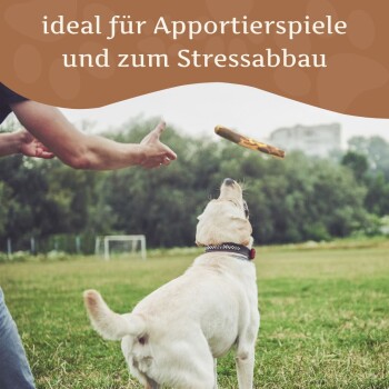 Eine Person in Outdoor-Bekleidung steht auf einer grasbewachsenen Fläche mit zwei Hunden und hält einen Stock. Text oben sagt: 'ideal für Apportierspiele und zum Stressabbau.'