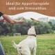 Eine Person in Outdoor-Bekleidung steht auf einer grasbewachsenen Fläche mit zwei Hunden und hält einen Stock. Text oben sagt: 'ideal für Apportierspiele und zum Stressabbau.'