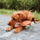 Hundespielzeug Rio 26 cm