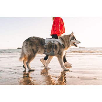 Eine Person in einem roten Sweatshirt führt einen großen, flauschigen grau-weißen Hund an einem nassen Strand während des Sonnenuntergangs, mit sanften Wellen im Hintergrund.