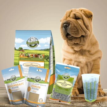 Ein Shar Pei sitzt neben Haustierfutterprodukten: einer großen Tüte "BELLIOR LANDGUT-SCHMAUS", "Nierenkraft Pulver," "Immuns Pulver," und Leckerlis.