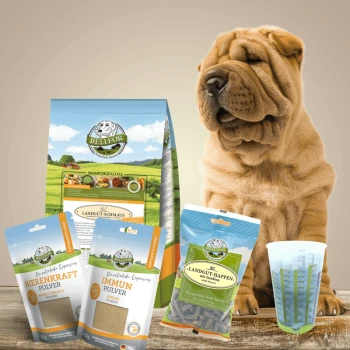 Ein Shar Pei sitzt neben Haustierfutterprodukten: einer großen Tüte "BELLIOR LANDGUT-SCHMAUS", "Nierenkraft Pulver," "Immuns Pulver," und Leckerlis.