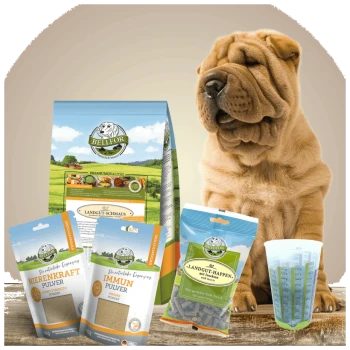 Ein Shar Pei sitzt neben Haustierfutterprodukten: einer großen Tüte "BELLIOR LANDGUT-SCHMAUS", "Nierenkraft Pulver," "Immuns Pulver," und Leckerlis.