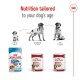 Image of Royal Canin dog food products, showcasing three life stages: Puppy (2-12 months), Adult (12 months to 7 years), and Ageing (after 7 years).