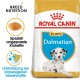 Royal Canin Dalmatian Puppy Futterbeutel mit einer Illustration eines Dalmatiner-Welpen, mit Text, der die Ernährungsbedürfnisse der Rasse und maßgeschneiderte Kroketten hervorhebt.