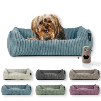® Hundebett waschbar für kleine Hunde mit Hundekissen Cord (ca. 55x42 cm) inkl. Gassibeutel Ein gemütliches blaues Hundebett mit gerippter Textur, begleitet von einer kleinen Haustier-Wasserflasche, die mit verschiedenen Farboptionen darunter angezeigt wird.
