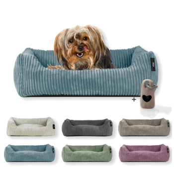 Ein gemütliches blaues Hundebett mit gerippter Textur, begleitet von einer kleinen Haustier-Wasserflasche, die mit verschiedenen Farboptionen darunter angezeigt wird.
