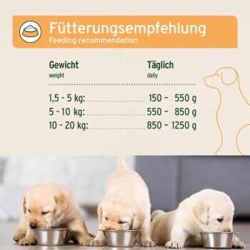 Verpackung für Nassfutter für Hunde "Pate Nature JuniorMenu" mit zartem Hühnchen, Karotten und Zucchini, 400g, gluten- und getreidefrei.