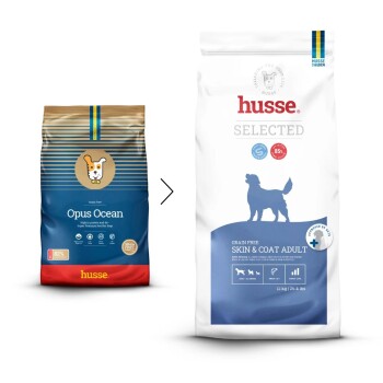 'Valp Plus' Super-Premium-Hundefuttertüte mit Hund- und Welpen-Grafik, die hinzugefügtes Flohsamen, kein Weizengluten und Unterstützung der Verdauung hervorhebt.