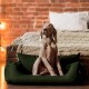 Ein grauer Weimaraner-Hund sitzt in einem dunkelgrünen Haustierbett und schaut neugierig, mit einem gemütlichen Schlafzimmer-Hintergrund, der eine gestrickte Decke und ein Bett zeigt.