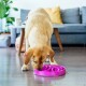 Fun Feeder Slo Bowl