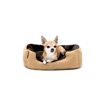 Ein kleiner tan- und weißer Chihuahua, der sich in einem gemütlichen, plüschigen Hundebett mit einem beigen Äußeren und einem dunkelbraunen Inneren entspannt.