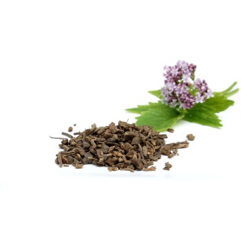 Getrocknete Baldrianwurzel, verstreut auf einer weißen Oberfläche, mit frischen Baldrianblättern und lila Blumen im Hintergrund.