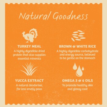 Infographic titled "Natural Goodness" highlighting Turkey Meal, Rice, Yucca Extract, and Omega Oils with their benefits for pet food.