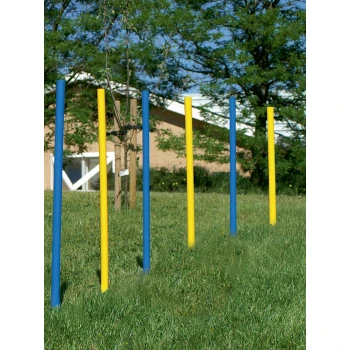 Poteaux d'entraînement colorés en bleu et jaune disposés dans un champ herbeux, avec une maison et des arbres en arrière-plan.