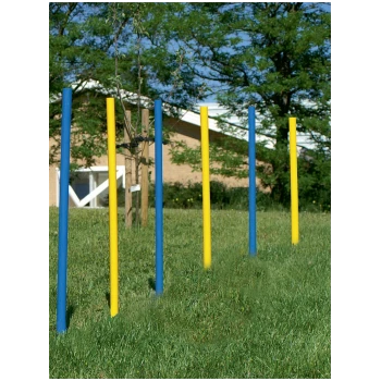 Poteaux d'entraînement colorés en bleu et jaune disposés dans un champ herbeux, avec une maison et des arbres en arrière-plan.
