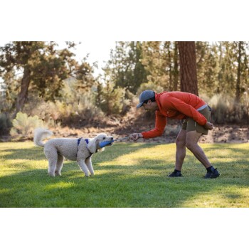 Eine Person in einer orangefarbenen Jacke und Shorts spielt Tauziehen mit einem flauschigen weißen Hund, der ein blaues Geschirr trägt, in einem grasbewachsenen Park.