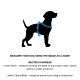 Silhouette eines Hundes mit blauen Maßlinien, begleitet von Anweisungen zum Messen von Hals und Brust für ein Neotech-Geschirr.