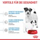 Royal Canin Anzeige mit zwei Hunden, die gesundheitliche Vorteile für Mütter und Welpen betont, einschließlich Immununterstützung und Verdauungshilfe.