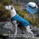 Ein Hund in einer blauen Jacke steht auf Felsen, mit reflektierenden Streifen, einem Geschirr-Reißverschluss und einem Design für Bewegungsfreiheit.