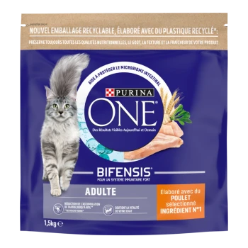 Sac d'aliments Purina ONE avec chat gris à poils longs, mention BIFENSIS ADULTE, image de poulet et « élaboré avec du poulet »