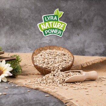 Eine Schüssel mit Sonnenblumenkernen steht auf einem Jutesack, mit einer Holzschaufel daneben. Das Logo "LYRA NATURE POWER" ist darüber sichtbar.