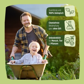 Grüne Box mit der Aufschrift "futura-shop S-TRAP SILBERFISCHFALLE" mit Text über effektive Schädlingsbekämpfung, umgeben von klaren Fallen und Köderpackungen.