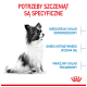 Czarno‑białe szczenię po lewej; polski nagłówek 'POTRZEBY SZCZENIĄT SĄ SPECYFICZNE', trzy niebieskie etykiety, logo Royal Canin