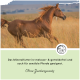 Ein kastanienbraunes Pferd galoppiert durch hohes Gras; der Text hebt ein melassefreies, getreidefreies, zuckerfreies Mineralfutter für empfindliche Pferde hervor.