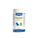 Weiße Canina-Dose mit der Aufschrift „CELLULOSE PULVER“ und „100% REINE CELLULOSE“, für Hunde & Katzen, mit blauem Hund- und grünem Katzen-Symbol.
