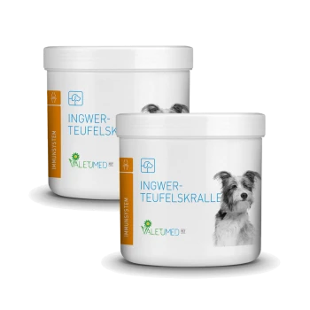 Weißer Behälter mit der Aufschrift 'INGWER-TEUFELSKRALLE' und einem Hundebild, das die Unterstützung des Immunsystems durch VALETUMED PET bewirbt.