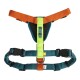 Geschirr Color Block Lime Mix M