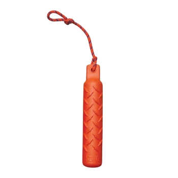 Jouet pour chien orange vif avec une surface texturée et une corde en boucle pour une manipulation facile, portant le nom de la marque 'KONG' embossé sur le côté.