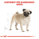 Illustration eines Mopses mit einer Skizze, betitelt "Sortiment für Rassehunde: Mops" in fettem roten Text.
