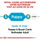 Guide alimentaire Royal Canin pour Rottweiler : transition de chiot (2 mois) à adulte (18 mois) ; passer à Royal Canin Adulte après 18 mois.