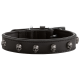 Schwarzes Leder-Haustierhalsband, verziert mit silbernen Totenkopf-Nieten und einer Metall-Schnalle, die ein stilvolles und kantiges Design zeigt.