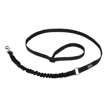 Schwarze Bungee-Hundeleine mit einem stabilen Clip und gepolstertem Griff, entworfen für Komfort und Kontrolle während der Spaziergänge.