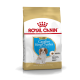 Karma Royal Canin dla szczeniąt Cavalier King Charles, odpowiednia dla szczeniąt do 18 miesiąca życia, z ilustracją psa i informacjami o wartościach odżywczych.