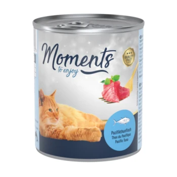 Une boîte de nourriture pour chat étiquetée "Moments à savourer", avec un chat doré se prélassant à côté de morceaux de thon rose et d'une fourchette.