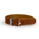 Brown leather pet collar with a silver buckle and adjustable holes, displayed on a white background.