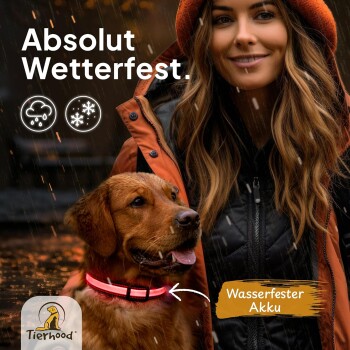 Ein Golden Retriever mit einem rosa Halsband steht neben einer Person in einer orangefarbenen Jacke, mit dem Text "Absolut Wetterfest" und "Wasserfester Akku."