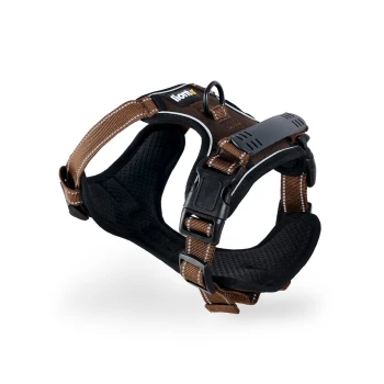 Brautes Haustiergeschirr mit gepolsterten Riemen und verstellbaren Schnallen, mit einem Metall-D-Ring zur Leinenbefestigung.