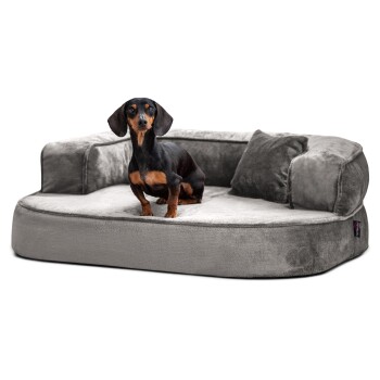 Ein kleiner schwarz-brauner Hund, der auf einem plüschigen, grauen Haustierbett mit einer unterstützenden Rückenlehne und einem dekorativen Kissen entspannt.