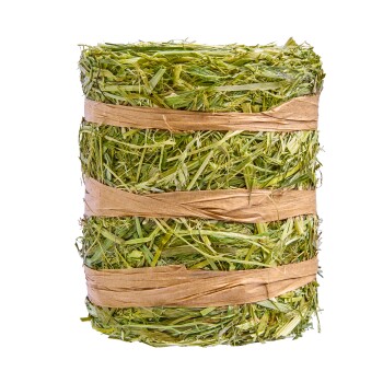 Ein fest gebundener Heuballen aus grünem Heu, gesichert mit braunem Bindfaden, geeignet für kleine Tiere wie Kaninchen oder Meerschweinchen.