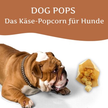 Eine Tüte Wildfang Harties Käsegeschmack Hundesnacks auf Holz, beschriftet mit "getreidefrei," "hochwertiges Protein," "vitaminreich," und "nährstoffreich."