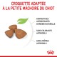 Croquettes adaptées à la petite mâchoire du chiot, avec des antioxydants naturels, sans colorants ni arômes artificiels.