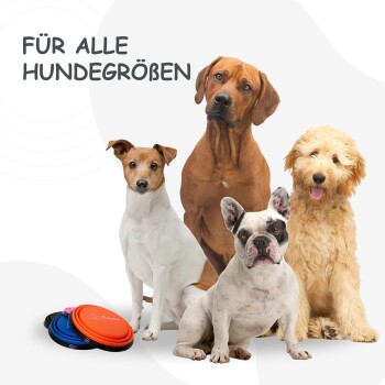 Vier Hunde verschiedener Rassen mit bunten Frisbees und dem Text 'FÜR ALLE HUNDEGRÖßEN'.