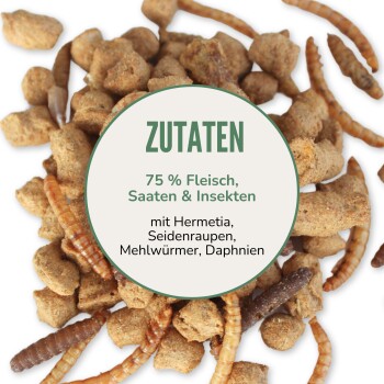 Hundefutter mit Kroketten und Insekten, beschriftet mit '75% Fleisch, Saaten & Insekten', enthält Zutaten wie Hermetia und Mehlwürmer.